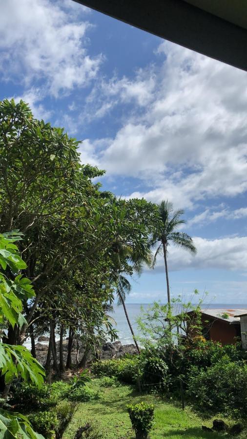 El Pargo Feliz Hotel มอนเตซูมา ภายนอก รูปภาพ