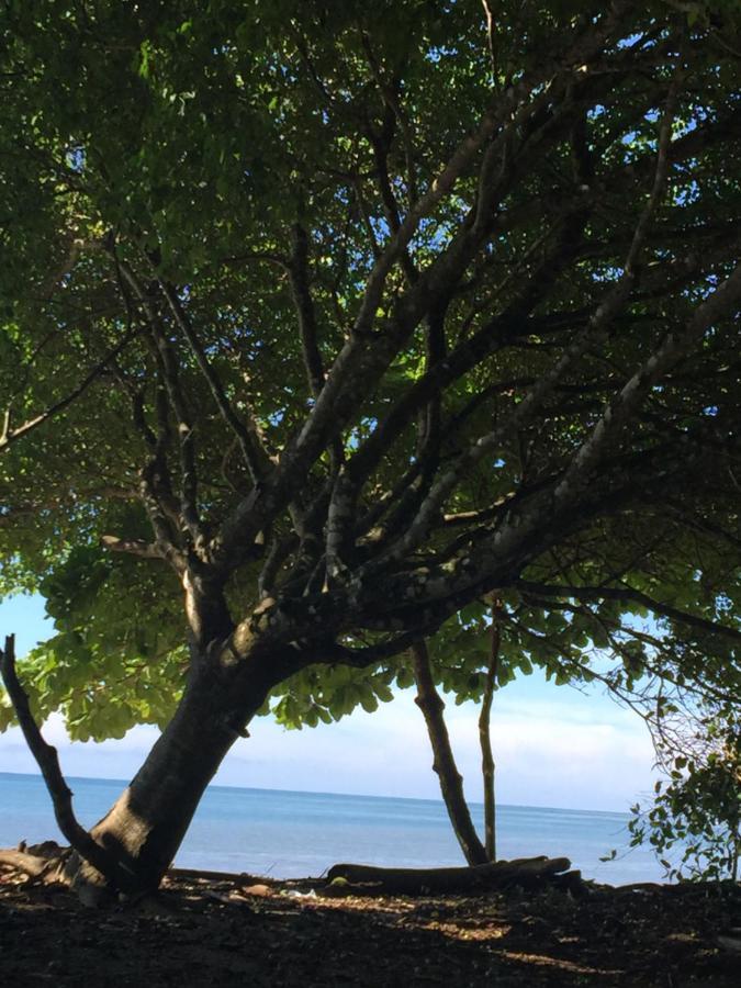 El Pargo Feliz Hotel มอนเตซูมา ภายนอก รูปภาพ
